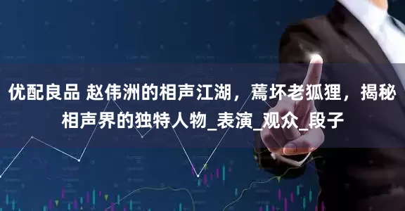 优配良品 赵伟洲的相声江湖，蔫坏老狐狸，揭秘相声界的独特人物_表演_观众_段子